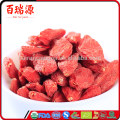 Bayas de goji de las muestras libres bayas goji razonables del precio de goji con alta exportación